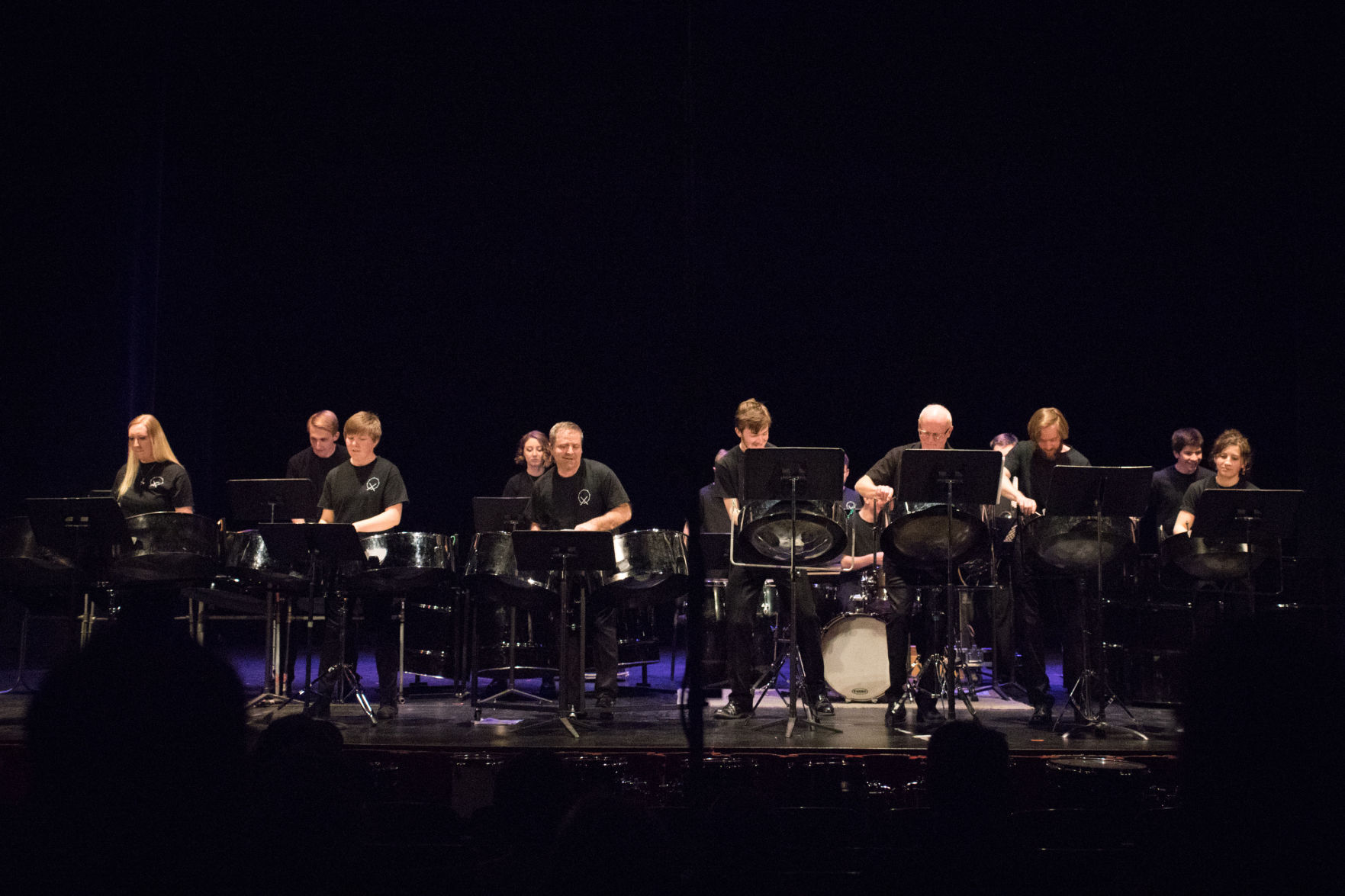 Shinner_Steeldrum02
